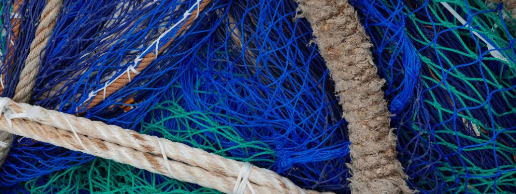 Snag Loading and Conductor Assessments