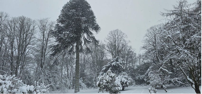 Grounds at Kingswells House